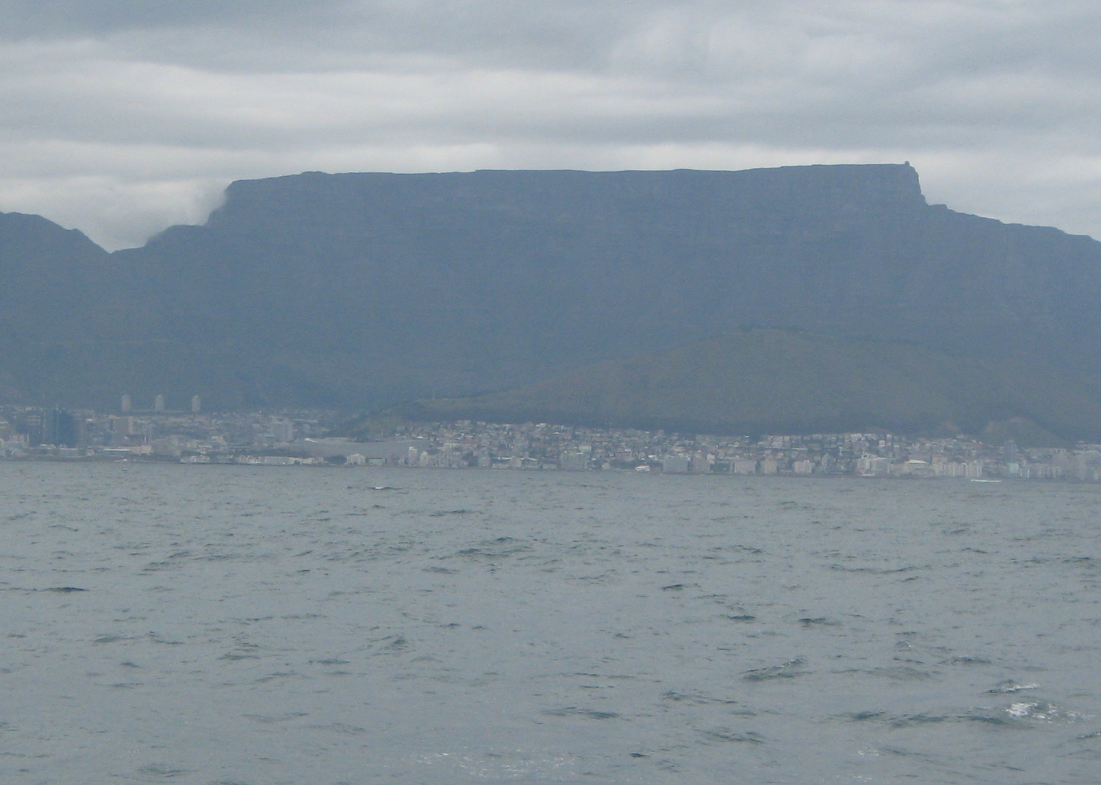 Robin island boat cruise